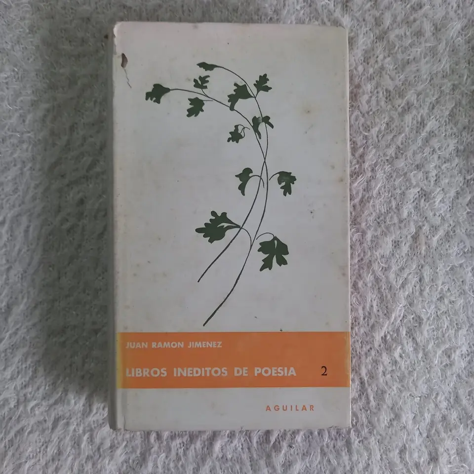 Libros inéditos de poesía 2. Juan Ramón Jiménez
