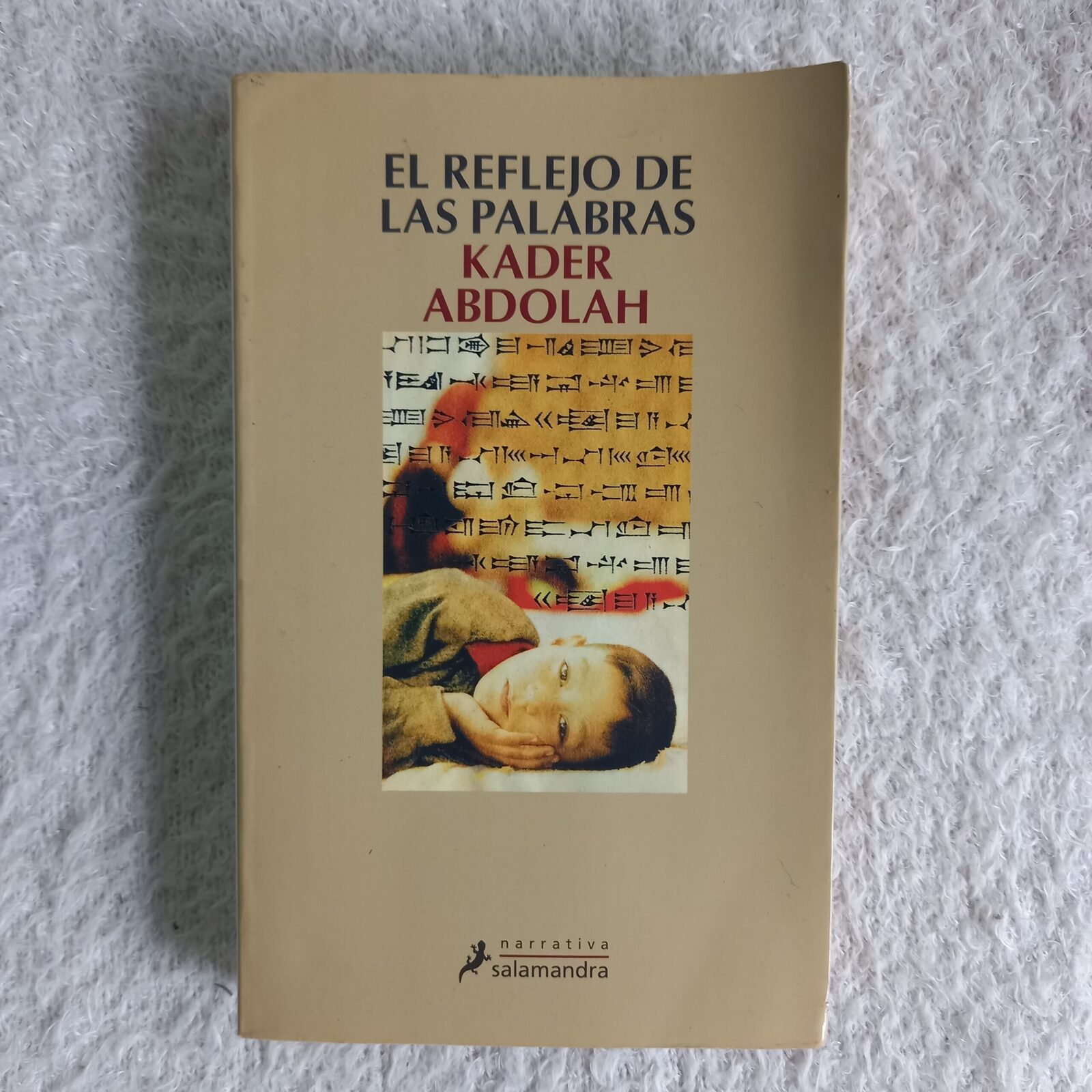 El reflejo de las palabras. Kader Abdolah