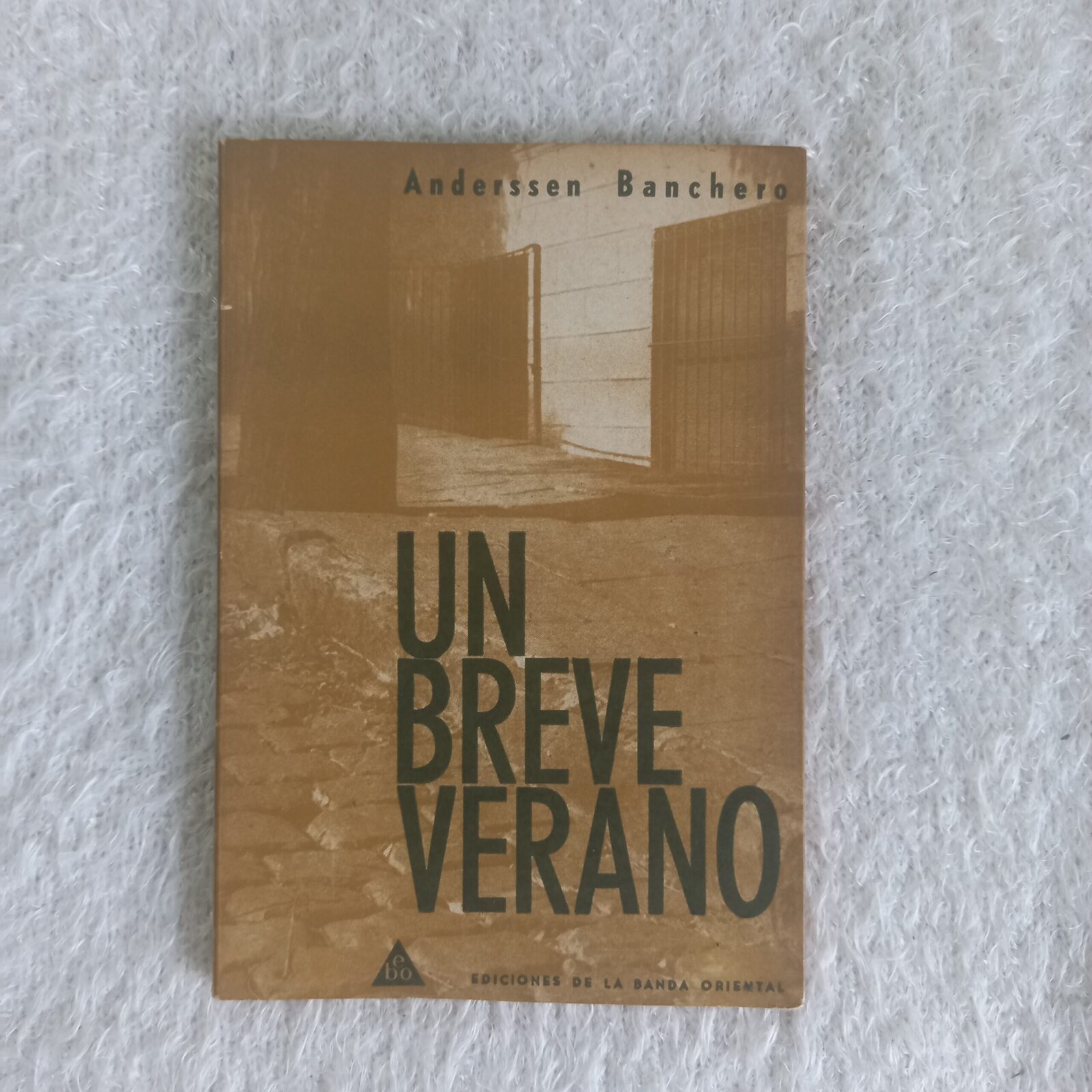 Un breve verano. Anderssen Banchero