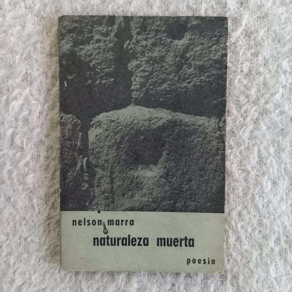 Naturaleza muerta. Nelson Marra