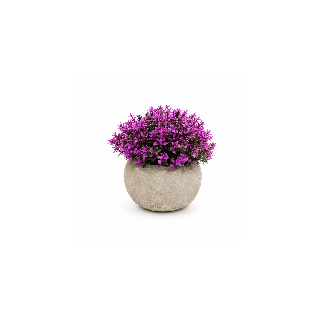 Plantita con maceta