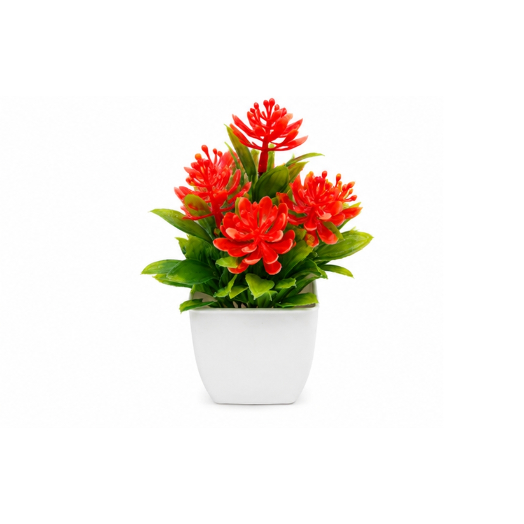 Planta con flores y maceta