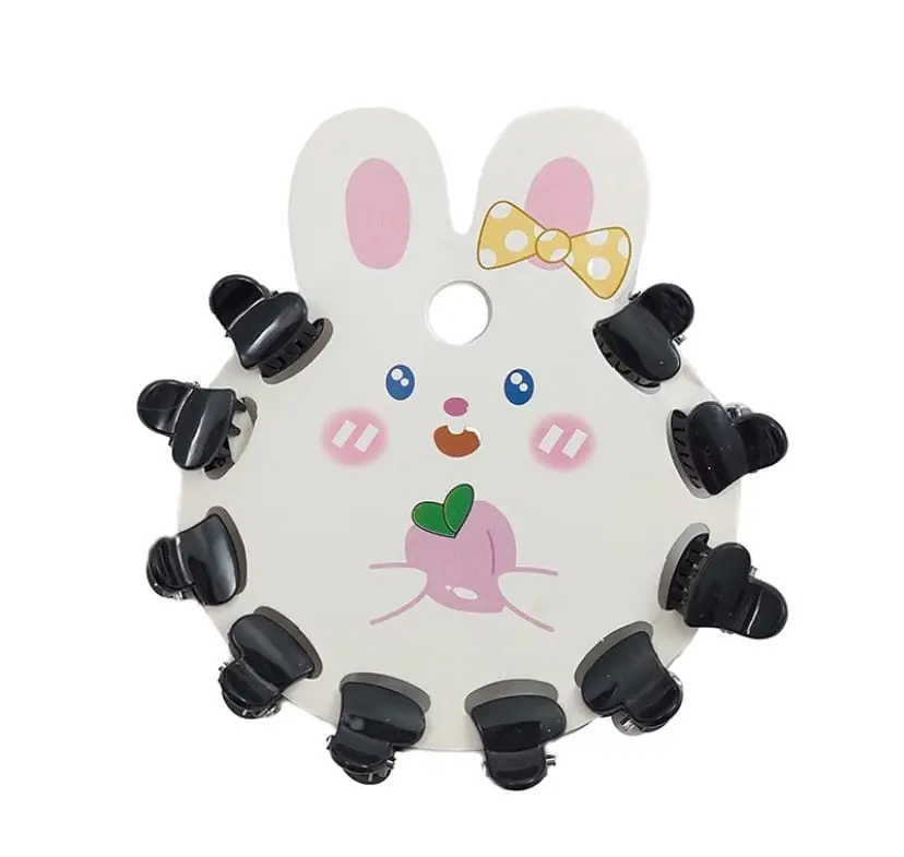 pack x10 Mini pinzas