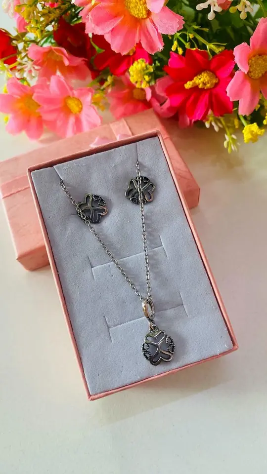 Conjunto y caravanas modelo 1