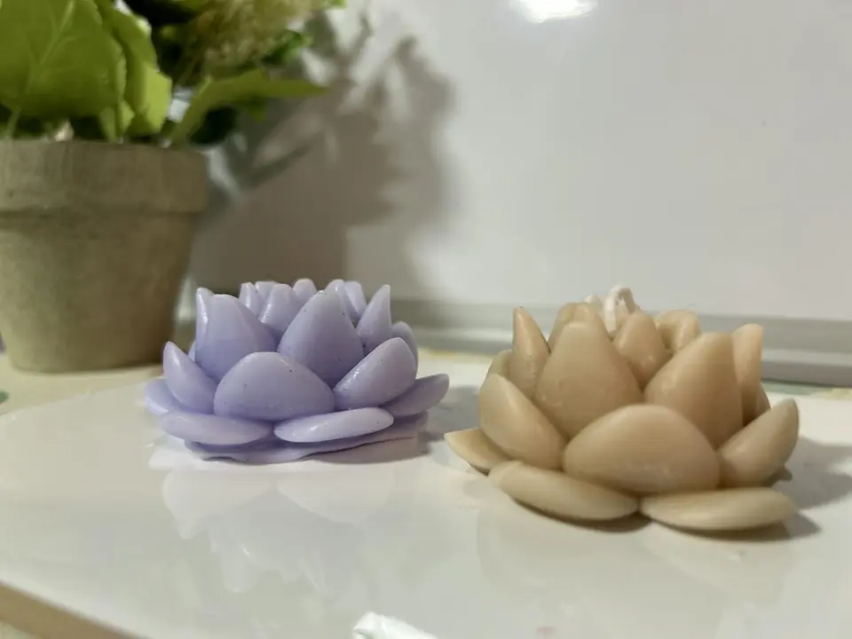 Flor de loto