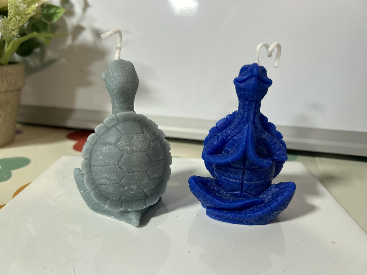 Tortuga sabia