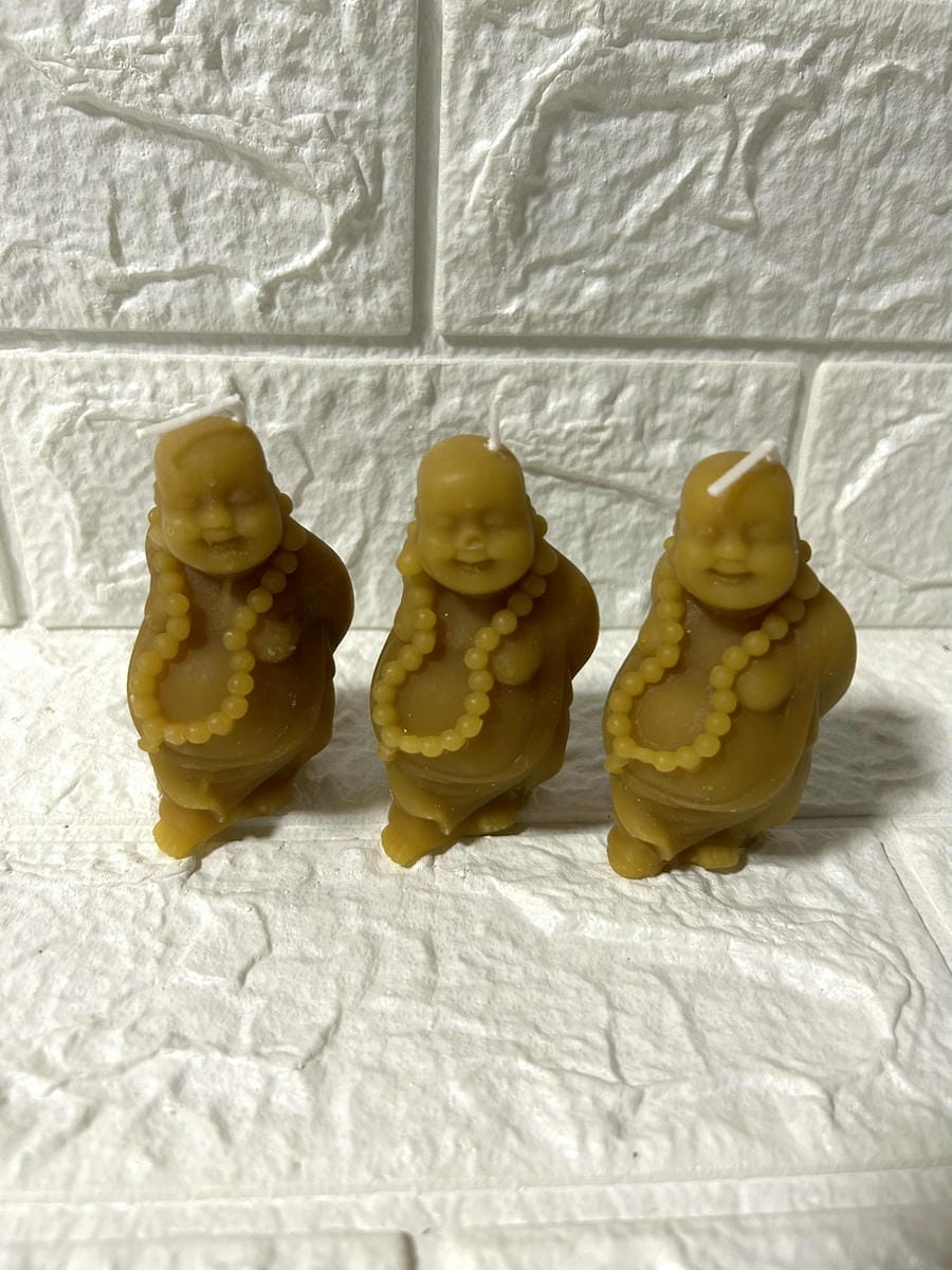 Budita abundancia