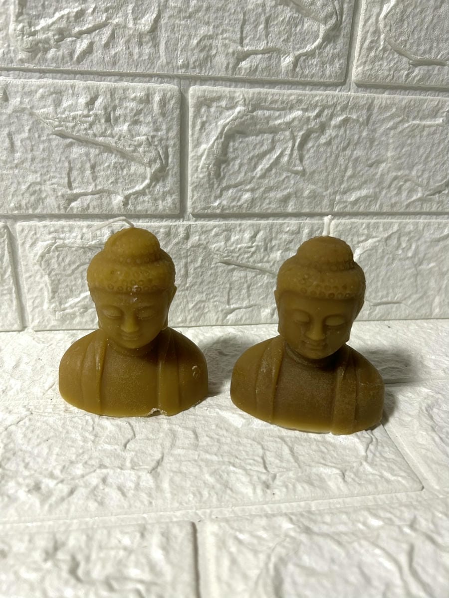 Buda torso