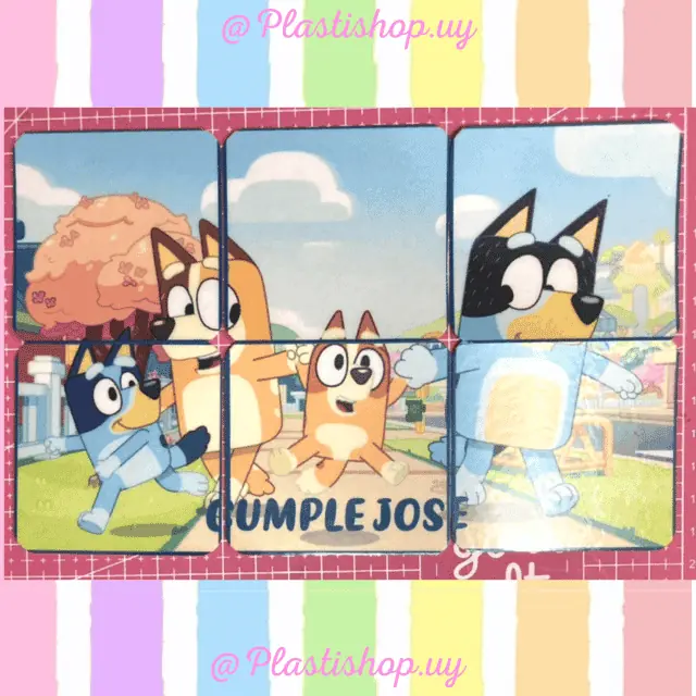 Puzzle plastificado 15x20cm