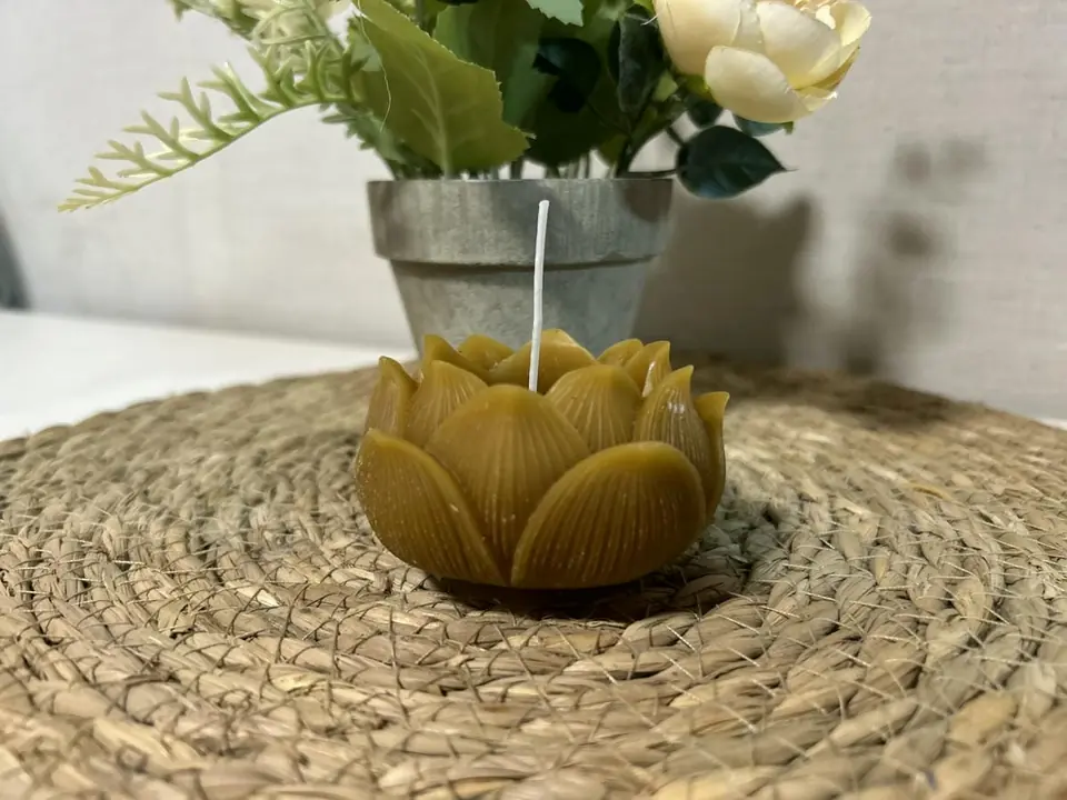 Flor de loto