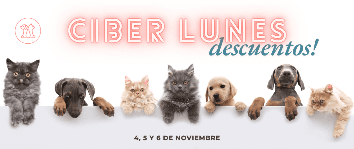 Mascotas Mimadas