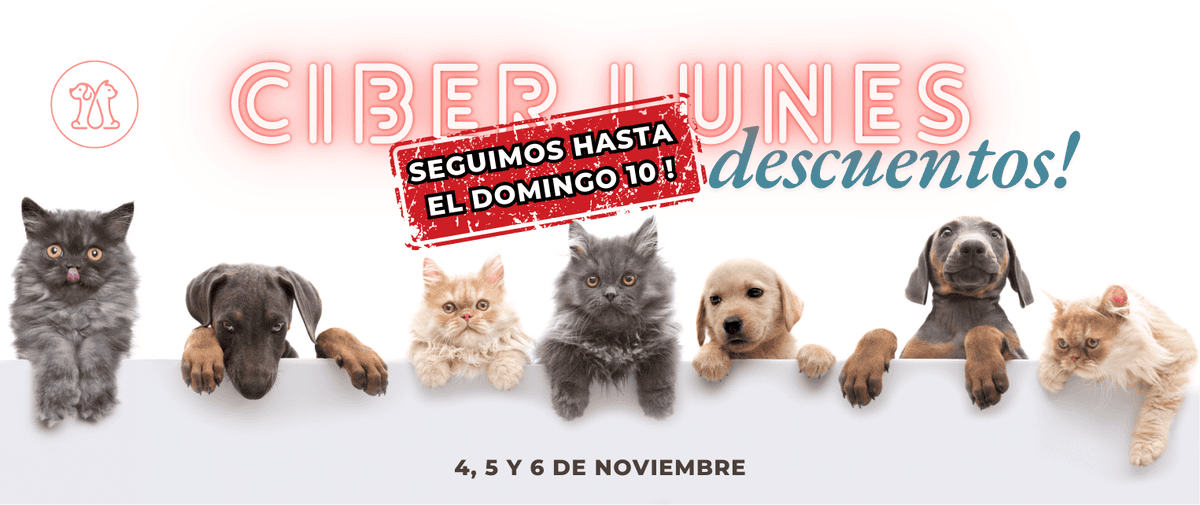 Mascotas Mimadas