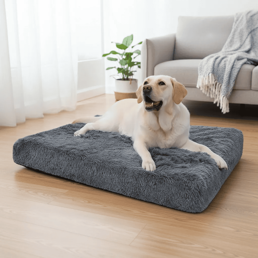 Cama XXL con colchón ortopédico. Con cierre y tela soft plush. 110x80x8cm. (Gris oscuro)