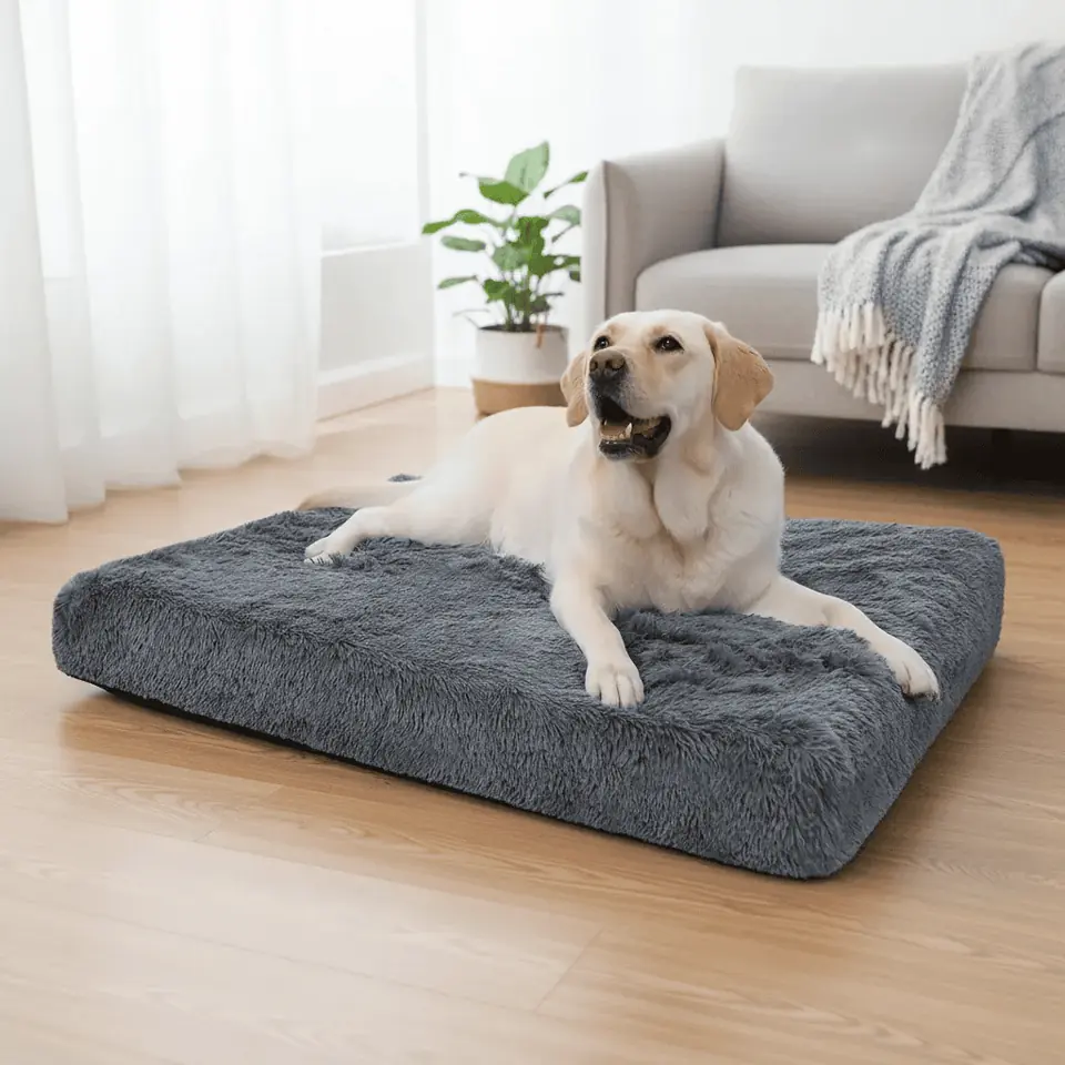 Cama XXL con colchón ortopédico. Con cierre y tela soft plush. 110x80x8cm. (Gris oscuro)