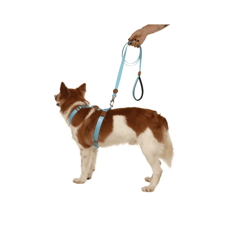 Correa con mango cómodo. Guía confort para mascotas 1,5m, Toh (Celeste)