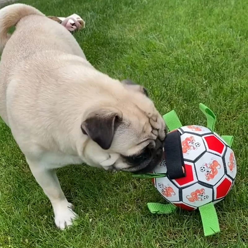 Pelota de fútbol con agarres