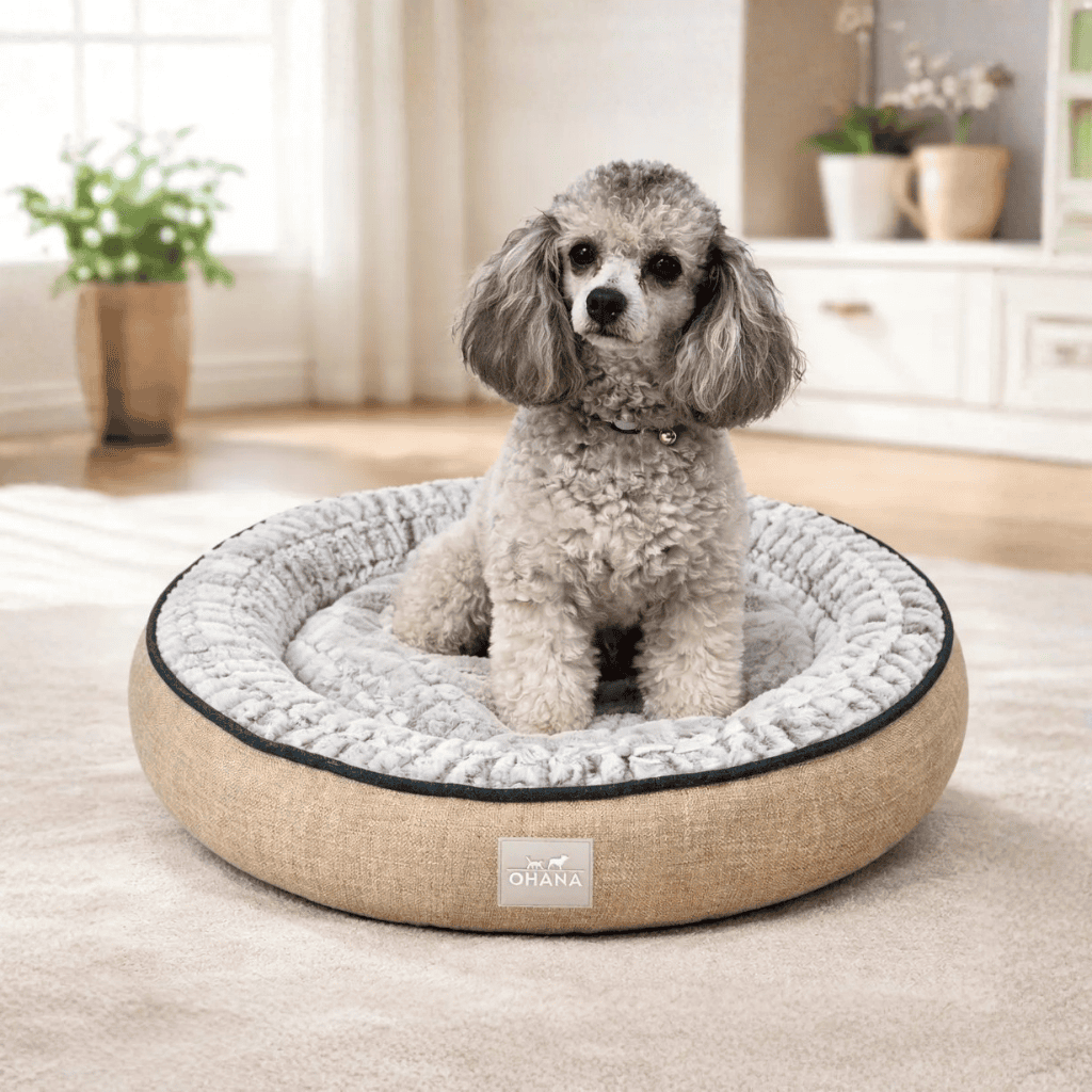 Cama donut circular Ohana M. 58x10cm (Varios colores)