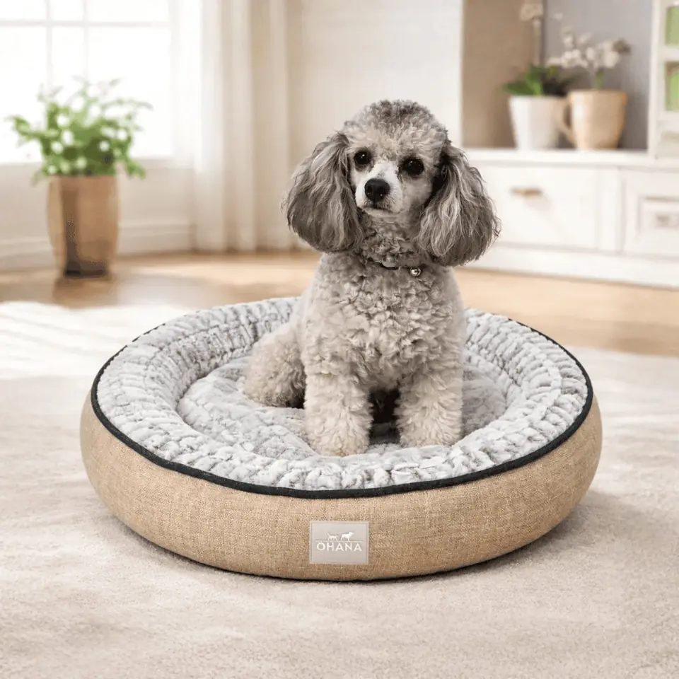 Cama donut circular Ohana M. 58x10cm (Varios colores)