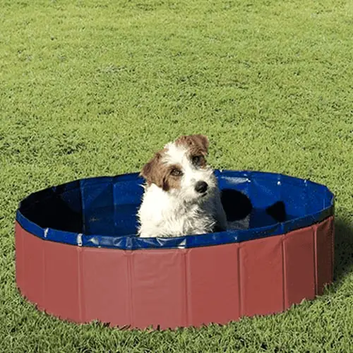 Piscina plegable XS. 80x20cm. No precisa inflar (Varios colores)