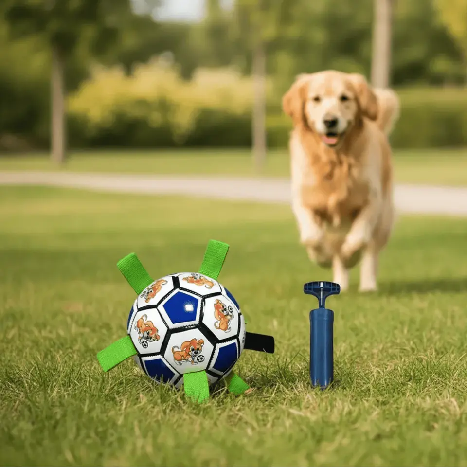 Pelota de fútbol con agarres + Inflador