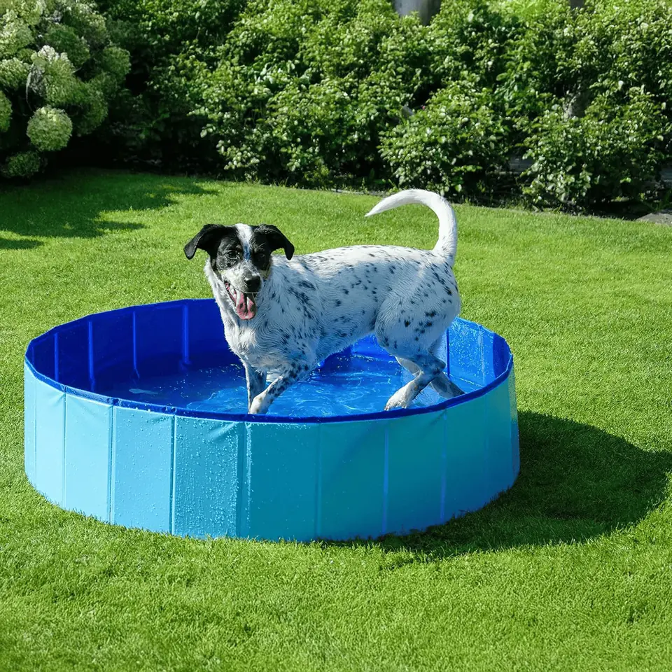 Piscina plegable M. 100x30cm. No precisa inflar (Varios colores)