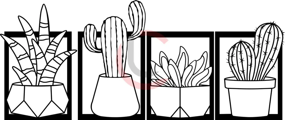 Cuadro cactus x4