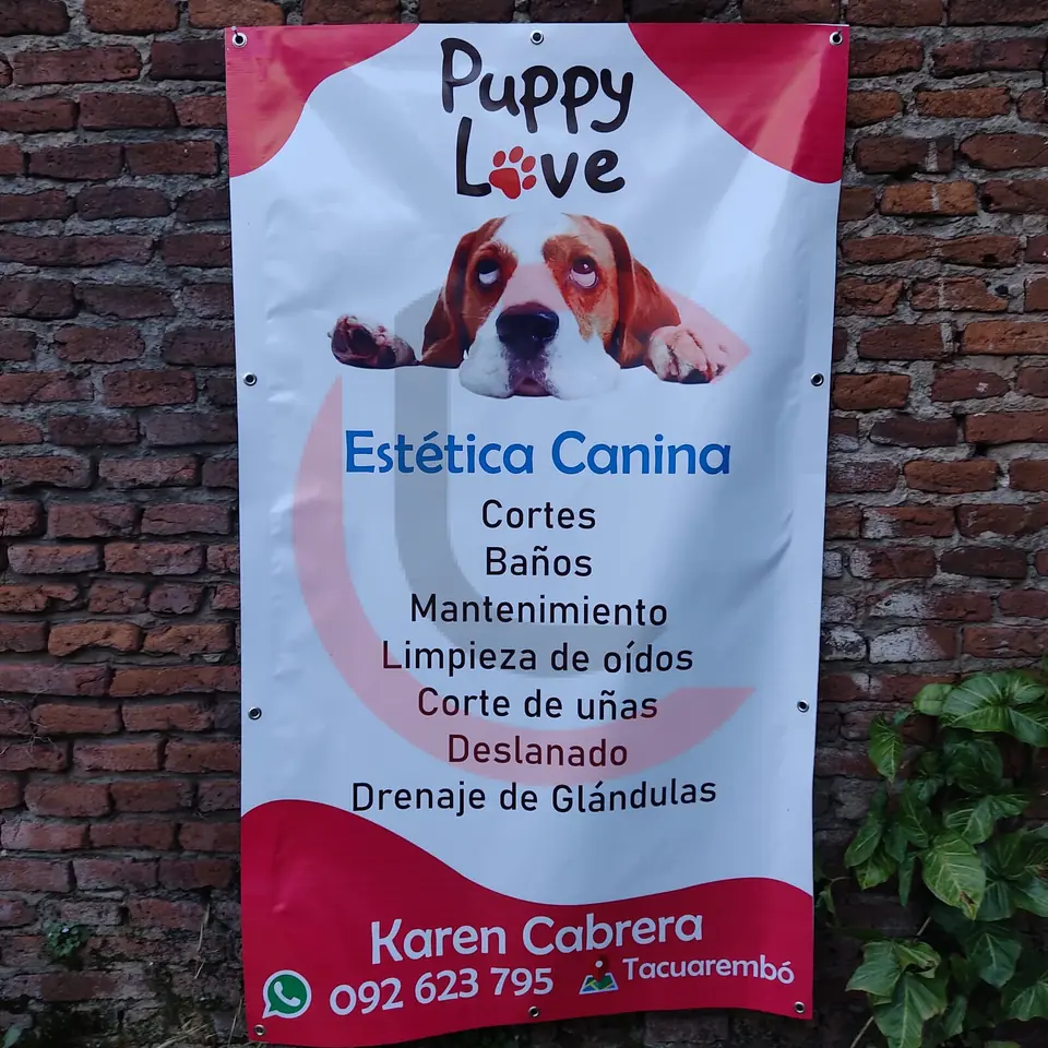Lonas Impresas