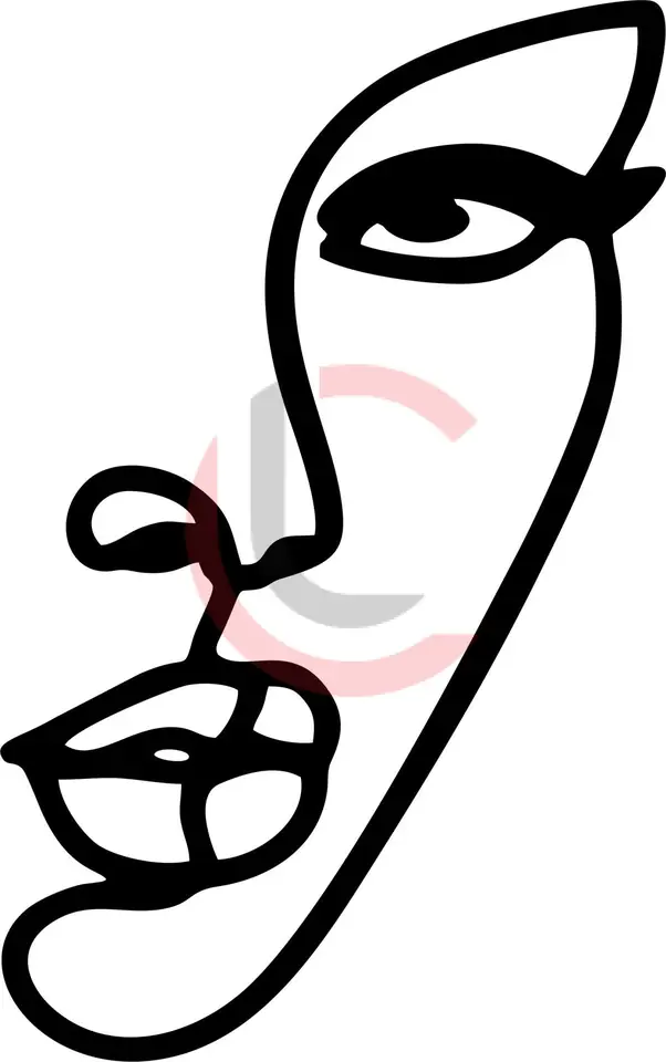 Cuadro rostro