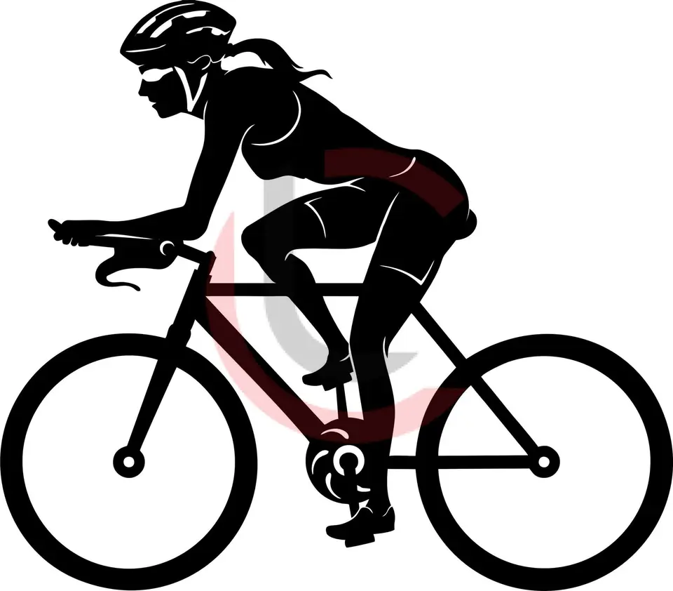 Cuadro ciclista 2