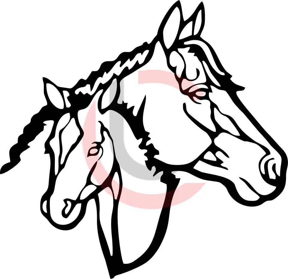 Cuadro caballo con potrillo