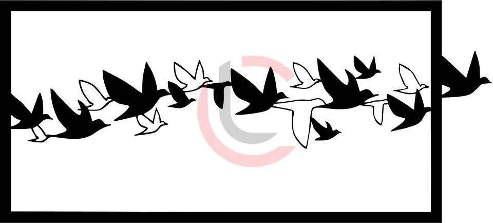 Cuadro pájaros en vuelo