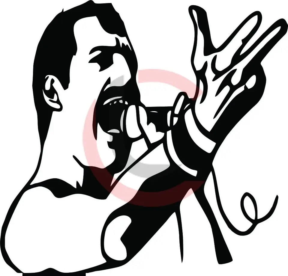 Cuadro Freddy Mercury