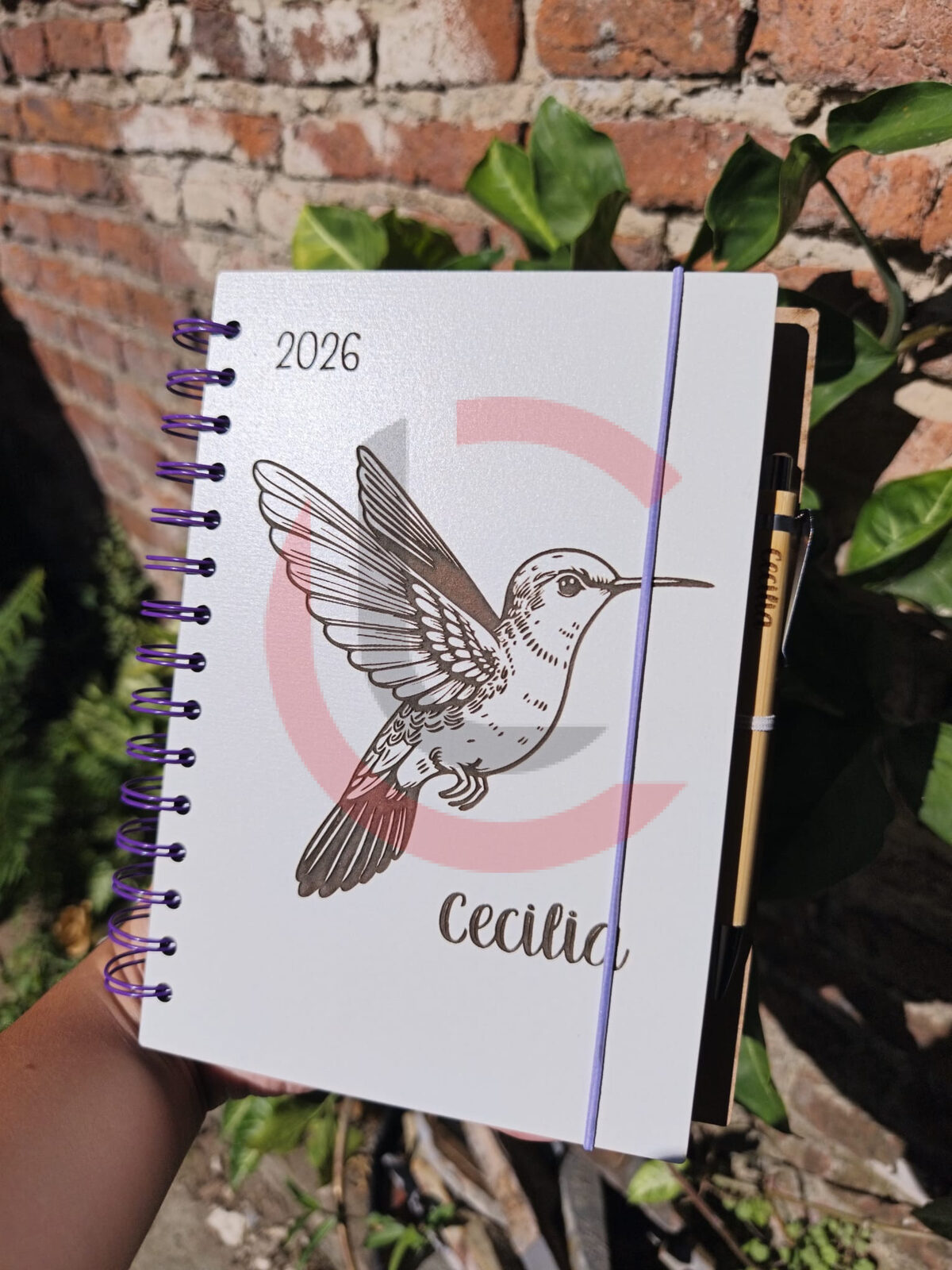 Agendas 2026