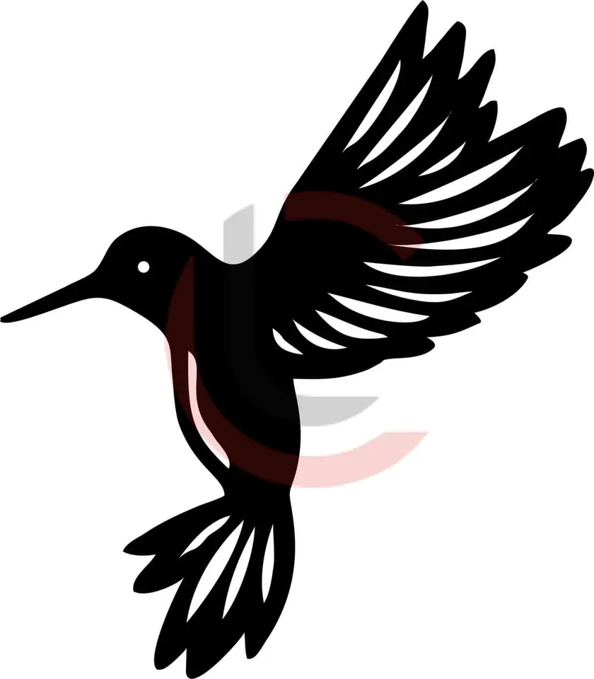 Cuadro colibrí