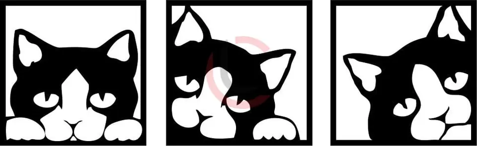 Cuadro tríptico gatos