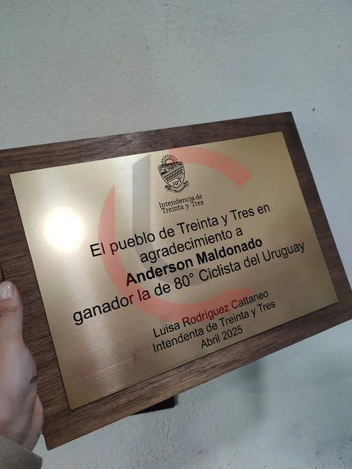 Placa metalex