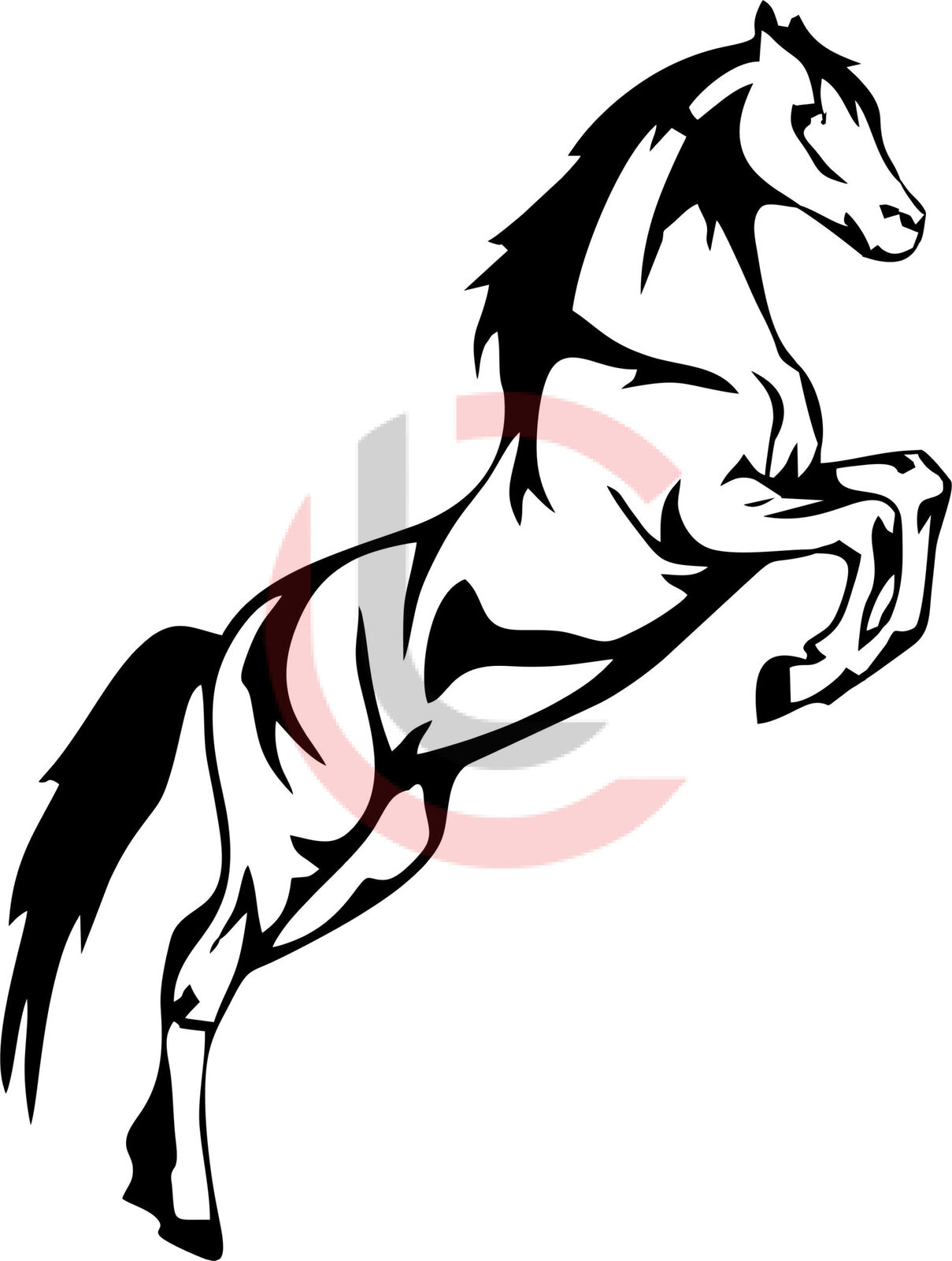 Cuadro caballo relinchando