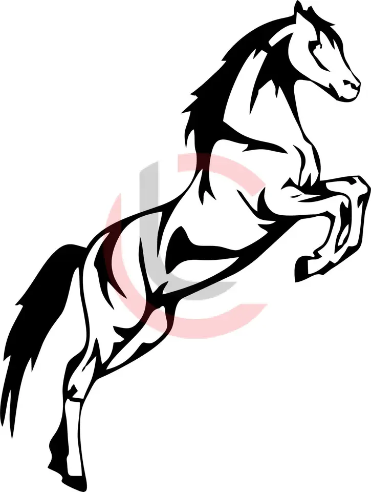Cuadro caballo relinchando