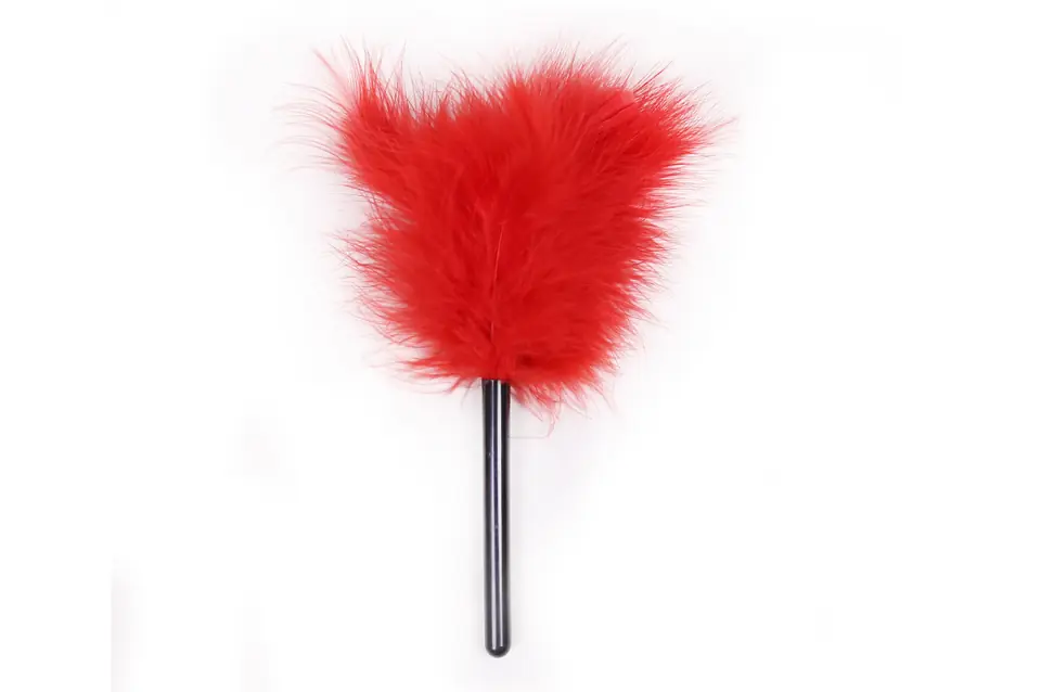 PLUMA DE BDSM PARA JUEGOS DE SENSACIONES