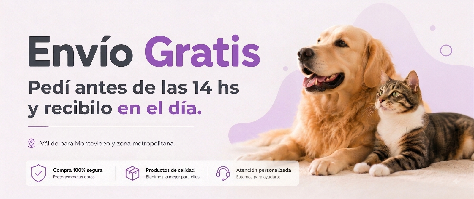 Chapi Mascotas