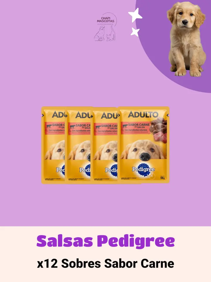 SALSAS PEDIGREE X12
