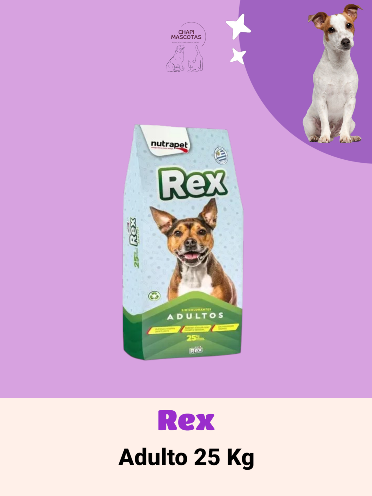 REX ADULTO 25 KG