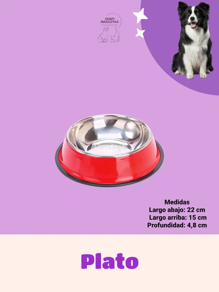PLATO DE ACERO