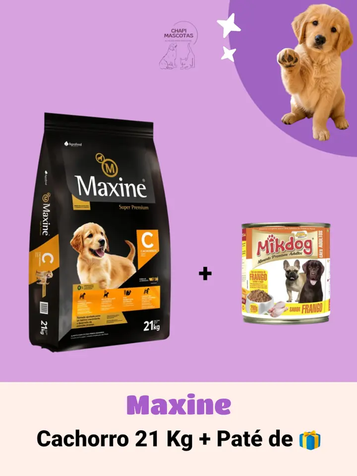 MAXINE CACHORRO 21 KG + PATÉ DE 🎁
