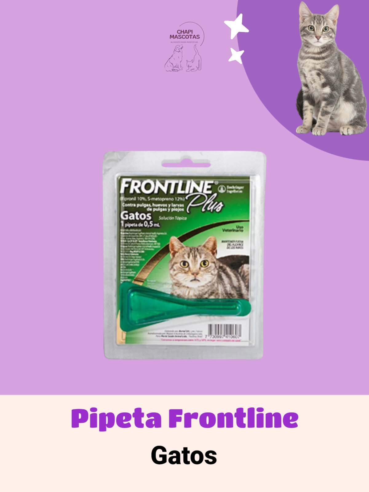 PIPETA DE GATO