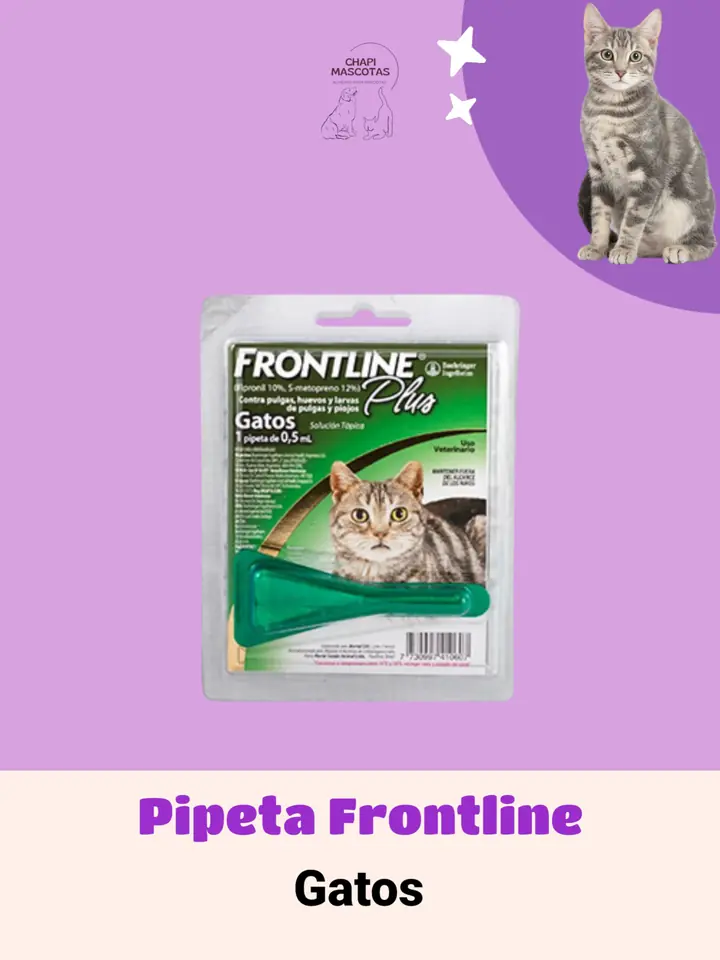 PIPETA DE GATO