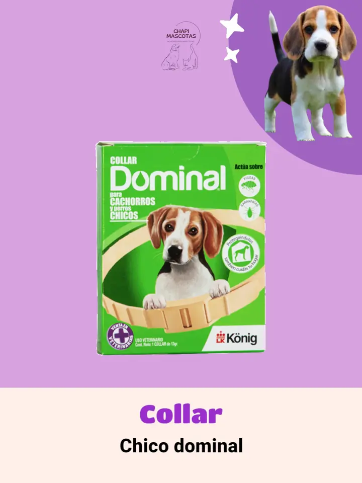 COLLAR CHICO DOMINAL