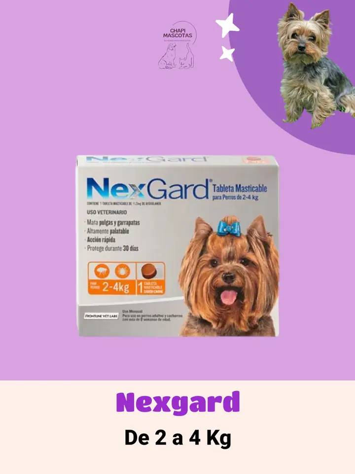 NEXGARD 2 A 4 KG