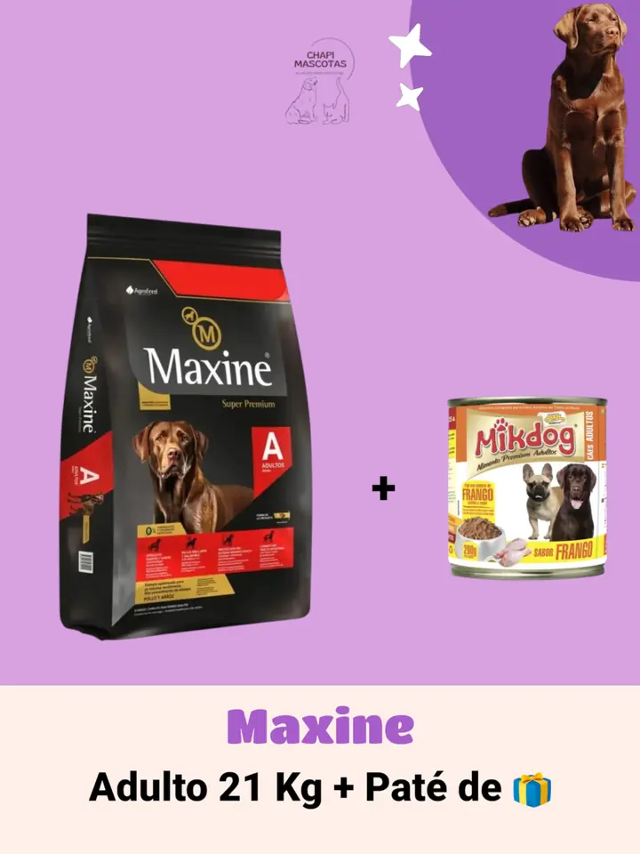 MAXINE 21 KG + PATÉ  DE 🎁