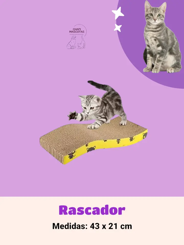 RASCADOR PARA GATO